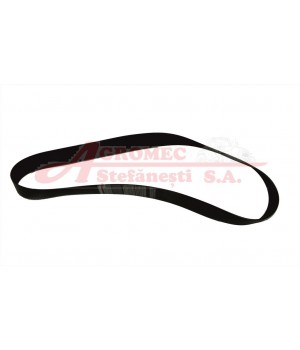 Curea exhaustor F06010164R